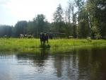 splyw_mereczanka_12082011_114625.jpg
