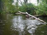 splyw_mereczanka_14082011_115332.jpg